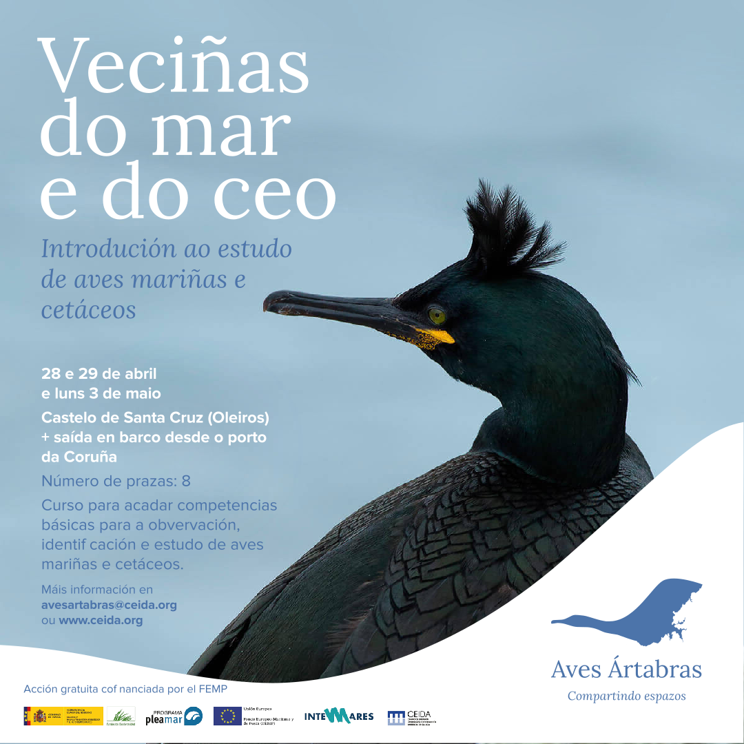 banner_curso_vecinas_IG