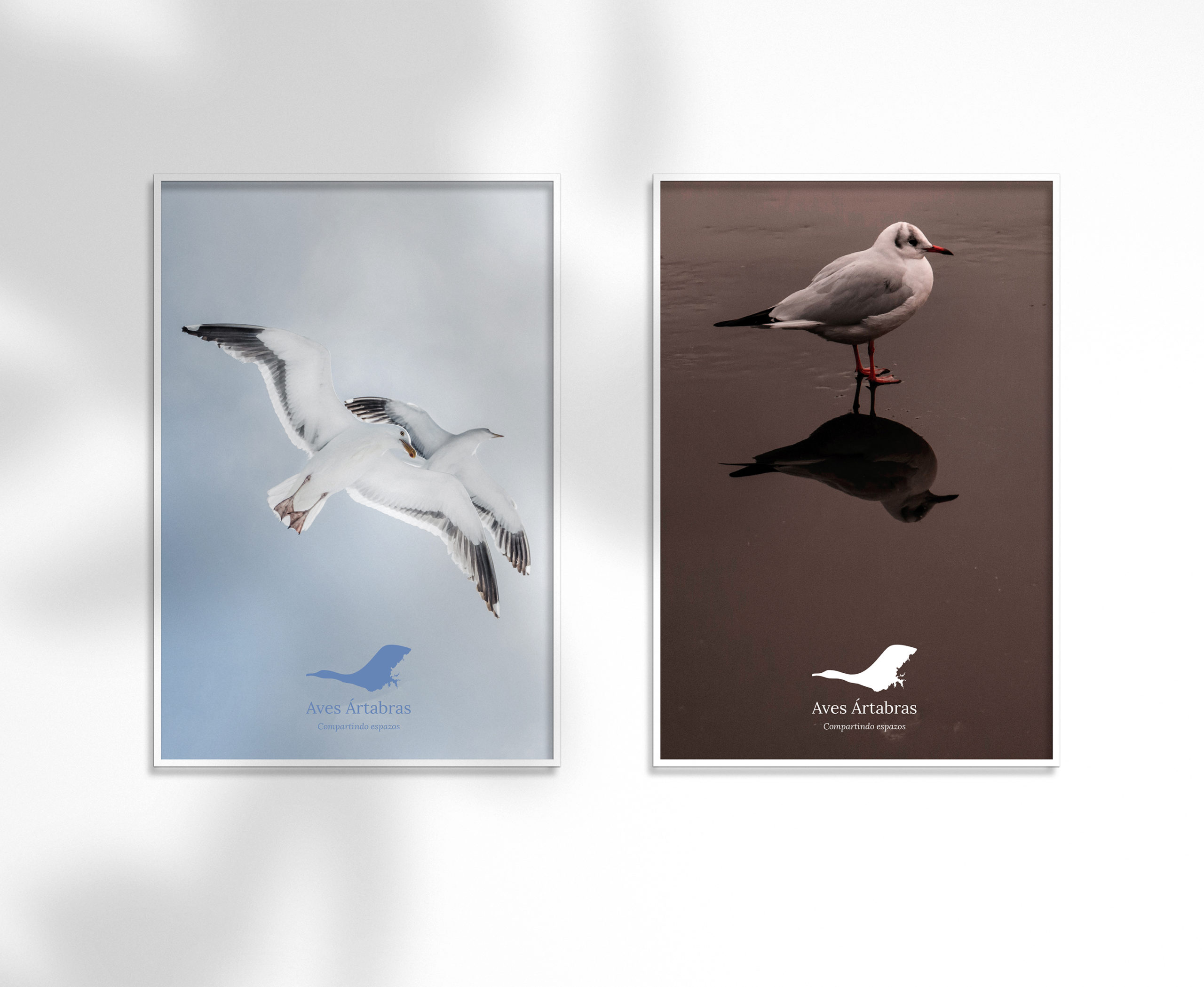 posters1.1